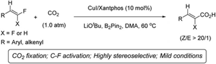 Graphical abstract:Stereoselective defluorinative carboxylation of gem-difluoroalkenes with carbon dioxide