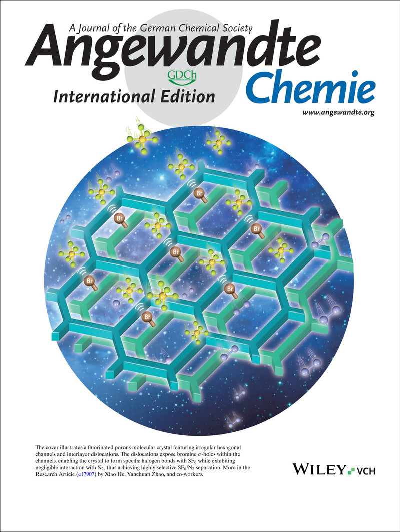 本 ANNU REV PHYS CHEM v47 1996 物理化学年次学術雑誌