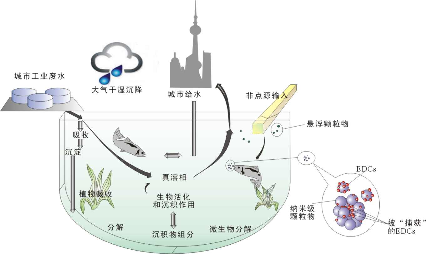 纳米颗粒物ic(Nanoparticles, NPs)的环境意义