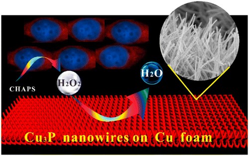 http://pubs.acs.org/appl/literatum/publisher/achs/journals/content/ancham/2016/ancham.2016.88.issue-15/acs.analchem.6b01637/20160727/images/medium/ac-2016-01637j_0009.gif